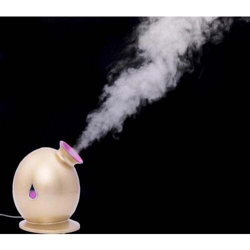 2014 new Braises face device home use beauty instrument spray machine golden rice facial ionic steamer device for skin care