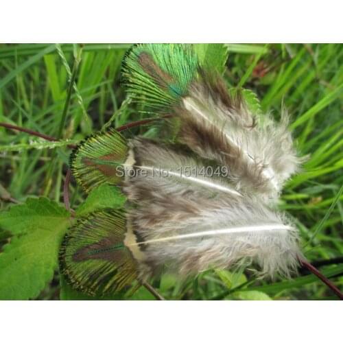 Free shipping wholesale high quality 50pcs Scarce nature peacock feather 5-8cm/2-3inch Decoration diy orange hot