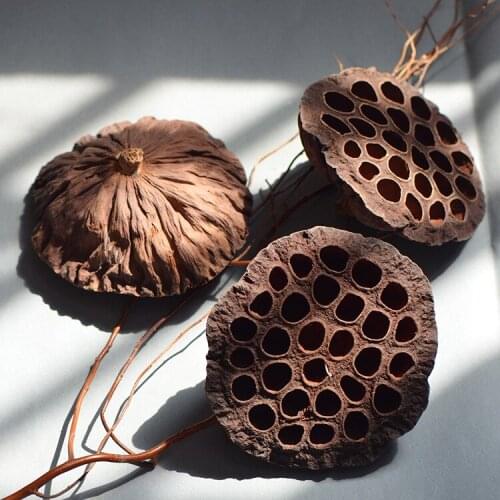 20pcs,Natural Dried Lotus Seedpod flower head,Eternal rose material for wedding party home decoration accessories,display flower
