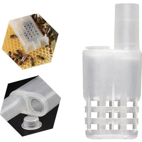 Bee Queen CagesBee Hive Tools For Beekeeping Equipment Beekeeper Suppiler
