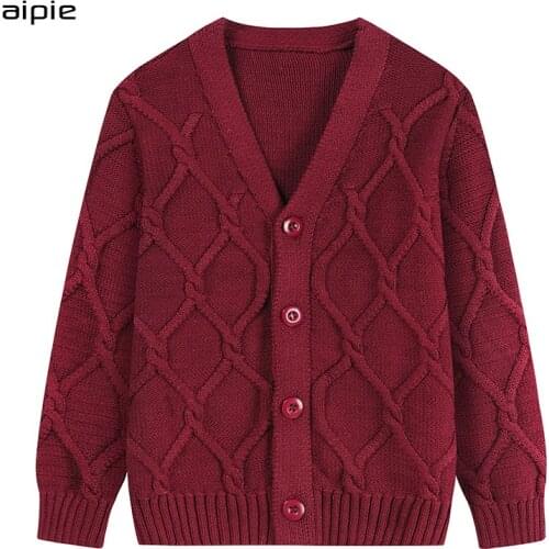Aipie Sweaters For Boys