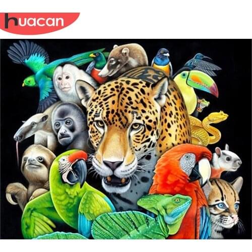 HUACAN Coloring By Number Leopard Animal Kits For Adults Handpainted DIY Pictures By Number Parrot On Canvas Home Decor