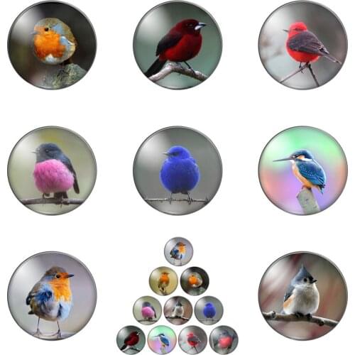 Little Cute Bird Perched on a Branch Lovely Animal 12mm/20mm/25mm/30mm Round Photo Glass Cabochon Demo Flat Back Making Findings