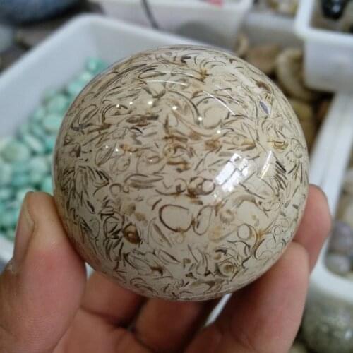 Dinosaur bones Quartz Crystal ball Natural fossil gemstone Magic sphere reiki healing