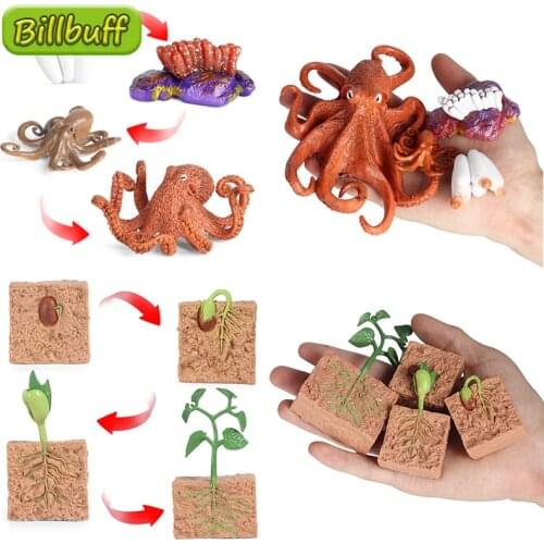 4Pcs Simulation Animal Plant ABS Octopus Bean sprouts Action Figures Collection Miniature Cognition Educational Toy for Children