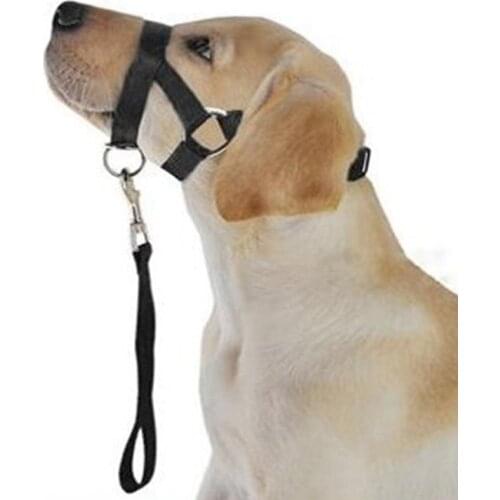 Pet Supplies Practical Pet Dogs Mouth Mask Anti-bite Mask Head Collars For Dogs Leash Rope Pulling Training Tools