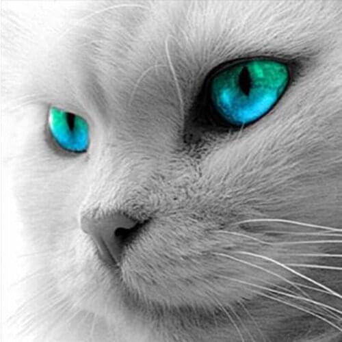 5D DIY Diamond Painting cat Animal Mosaic Round Rhinestone Embroidery Child Puzzle Cross Stitch Gifts Diamont embroidery LG2746