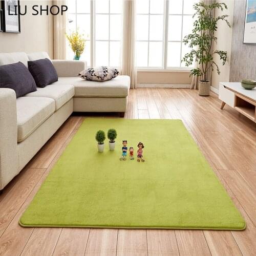 LIU coral fleece household modern simply living room table sofa bed bedroom carpet covered the windows rug yoga mat customiz
