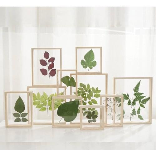 Wooden Photo Frame Double Sided Acrylic Specimen Frame Creative Set-up for Home Business Place