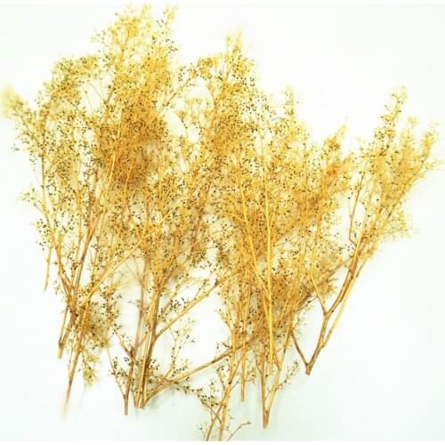 2020 New Scene Model Tree Production Natural Grass For Architecture Diy Model Building Design Hobby DIY Maker