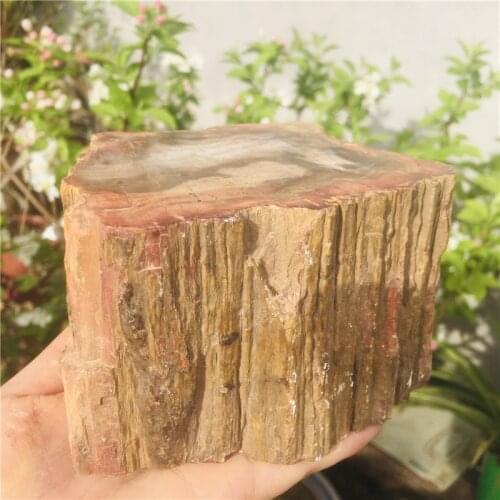 Natural Petrified wood fossil original stone raw Rock Crystal Quartz Mineral Specimen Healing Reiki home Decor