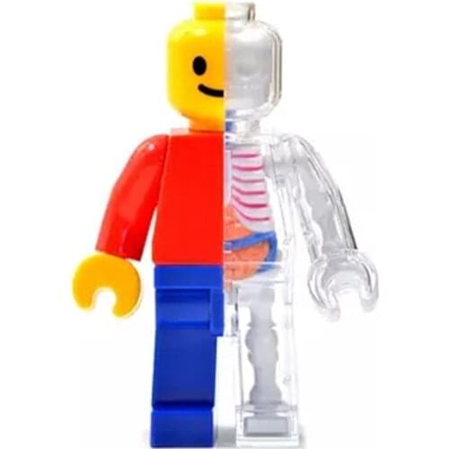 4D Classic brick man Intelligence Assembling Toy Assembling toy Perspective Anatomy Model DIY Popular Science Appliances