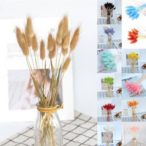 Plant Eternal Flower Dried Flower Color Rabbit Tail Artificial Flower Plant Bouquet Home Decoration Photo Props