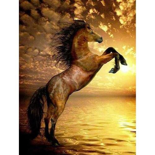 5D Diamond Painting Flame Horse Cross Stitch Mosaic Diamond Embroidery Animal Full Set Rhinestone Pictures Home Decoration DF252