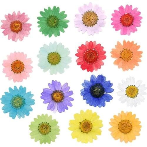 120pcs Pressed Press Dried Daisy Dry Flower Plants For Epoxy Resin Pendant Necklace Jewelry Making Craft DIY Accessories
