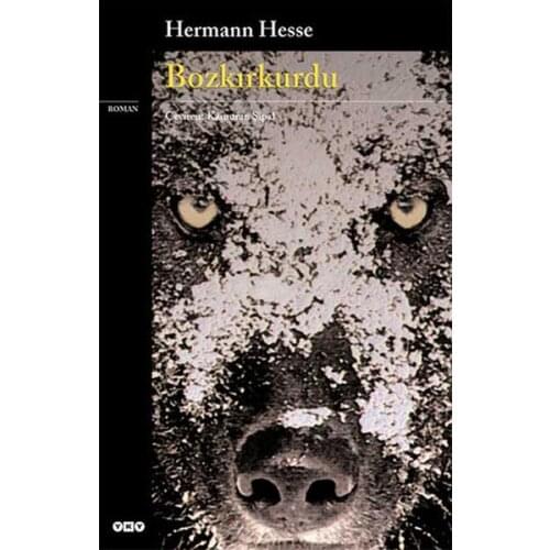 Bozkırkurdu Hermann Hesse Building Credit Publications (TURKISH)