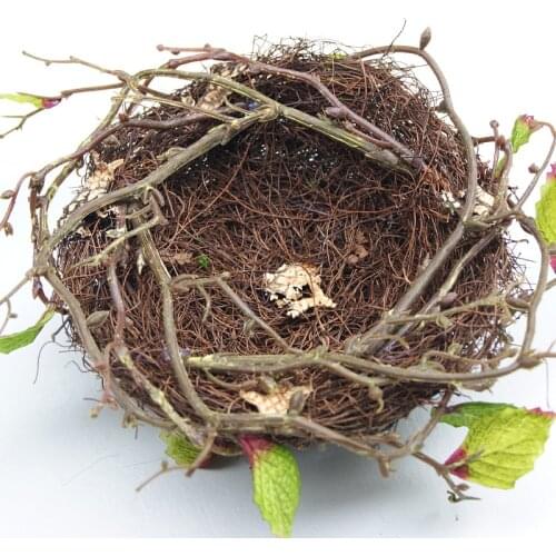 Small Tray Bird Cage Parrot Round Wooden Houses Outdoor Birds Cage Accessories Wood Gabbia Per Uccelli Bird Supplies DL60NL