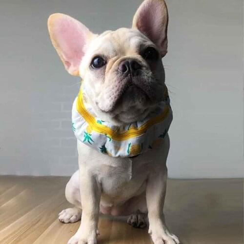 Pet summer French bulldog cold bib Bago cold bib fat dog summer cooling ice bib ice towel anti-heatstroke