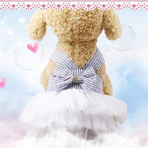 Dog Dress Dog Clothes for Small Dogs Dress Sweety Princess Spring Summer Puppy Small Dog Lace Princess Chihuahua Dog Roupa