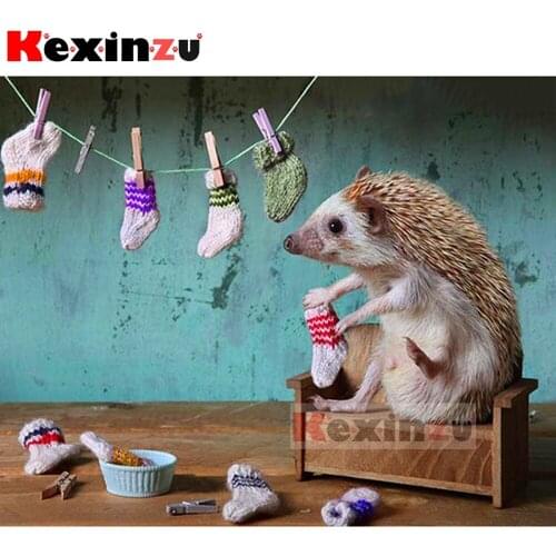 5d diamond painting full Square/Round diamond embroidery-Hedgehog socks-rhinestone DIY mosaic Cross Stitch 3D Home Decor Y4605