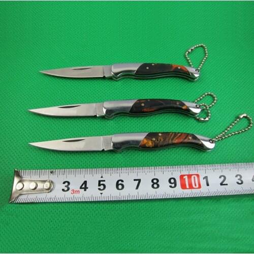 Free shipping Sharp pocket knife small folding knife outdoor dec tools Steel + acrylic handle