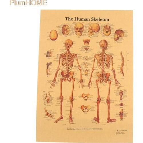 Декор для баров PlumHOME China At AliExpress