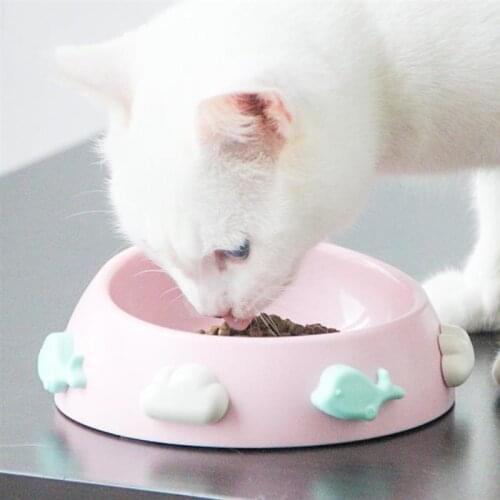 Pet Bowl Creative Cute Pattern Antislip Cat Feeding Bowl Cat Food Bowl Dog Bowl