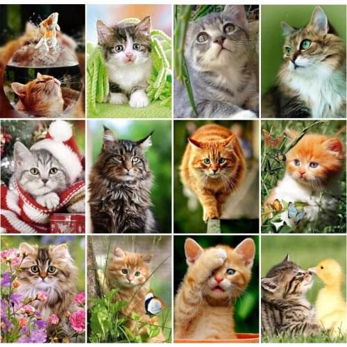 PDMDOG Full Square/Round Drill 5D DIY Diamond Painting "Animal cat landscape" Embroidery Cross Stitch 5D Home Decor Gift