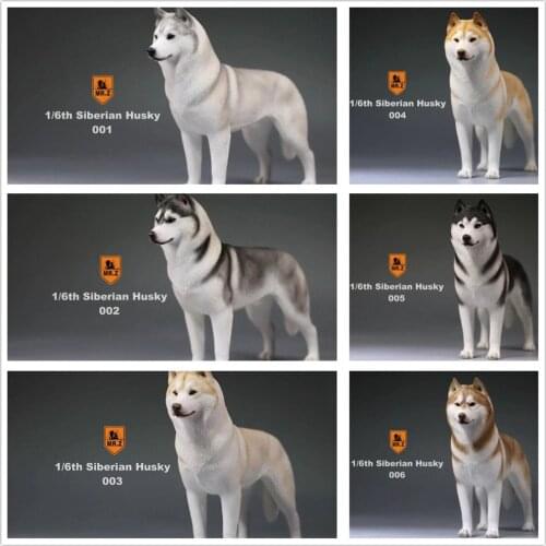 Mr.Z Studio 1:6 Simulation Siberian Husky Dog Pet Huskie Figure Animal Decor Model Toy Kid Gift Resin Ornaments Dog Hand To Do