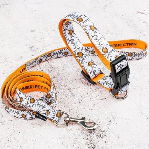 Personalized Dog Collar Leash Set Thermal transfer Print Nylon Dog Necklace Super Strong Durable Collar for Small Medium Pets
