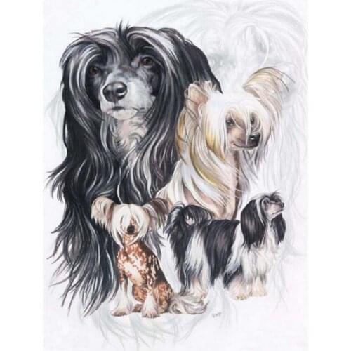 Diamond painting dog,diamond embroidery animals,diamond painting square full
