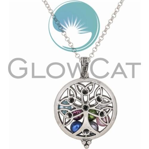 Aroma Open Antique Vintage Photo Locket Pendant Perfume Essential Oil Aromatherapy Diffuser Necklace Locket Necklace With Pad