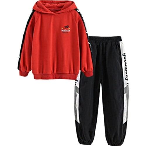 Spring and autumn 2020 new boys' leisure sweater suit fashion sports Hoodie + Pants Set Boys' suit boys' leisure sports two piec