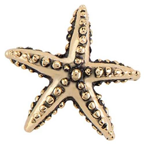 10pcs Starfish Custom Floating Charms for Glass Locket Watch Necklace Bracelet