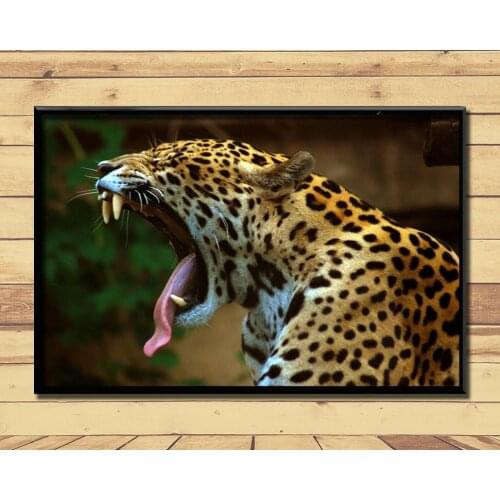 Jaguar Strong And Fast Land Animal (13) Wall Posters Prints Silk Art Painting For Home Wall Bedroom Decor