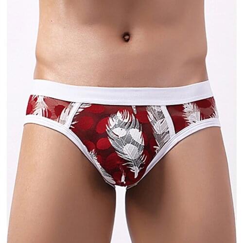 Mens Sexy Low Rise Lace Briefs See Through Breathable Underpants Underwear Men Sexy Lingerie G-strings Pouch Bikini Panties