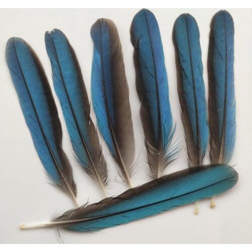 Wholesale! Rare 50 pcs Pretty Natural Kingfisher Feathers 7-10 cm/3-4 inches Diy jewelry wedding decorative accessories