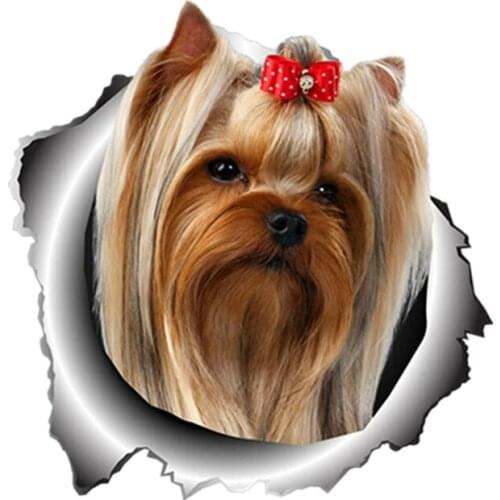 S40747# Various Sizes Self-adhesive Decal Yorkshire Terrier Dog Car Sticker Waterproof Auto Decors on Bumper Rear Window
