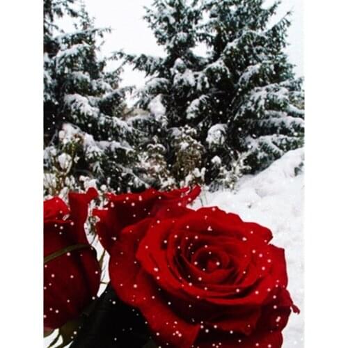 Flower Rose DIY 11CT Cross Stitch Embroidery Kits Needlework Craft Set Printed Canvas Cotton Thread Home Decoration New Design