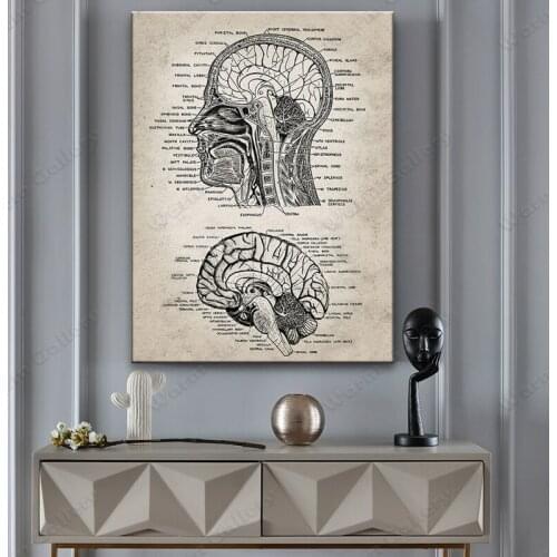 Painting Doctors Office Wall Art Decor Vintage Human Head And Brain Anatomy Canvas Art Prints Human Decoration Picture