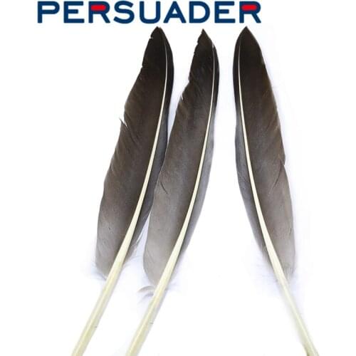 Persuader 8pcs A graded duck wing feather paired fly tying feathers for classic wet flies&dry fly wings&small nymph wing case