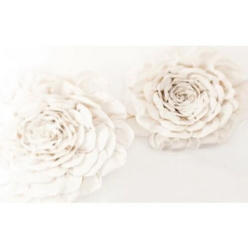 White House Wall Photography Backdrops Photo Props Studio Background 5x7ft