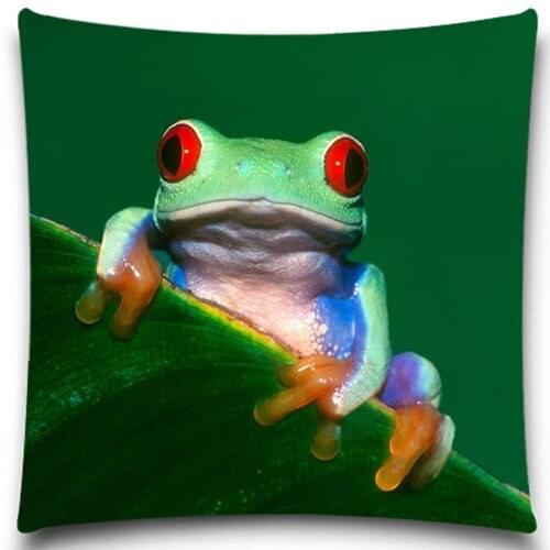 Frog with big red eyes pattern Cushion Cover cotton polyester Home car sofa- Cloth, Double-sided Printing, Size optional