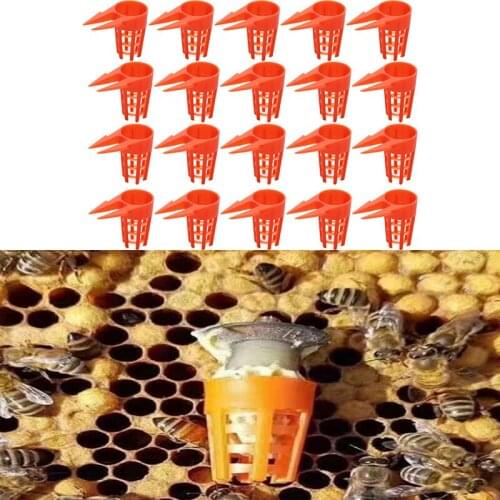 20 Pcs/Set Plastic Bee Queen Cap Protective Cell Cover Beekeeping Tools Beekeeper Equipment Cage Beekeeping Supplies