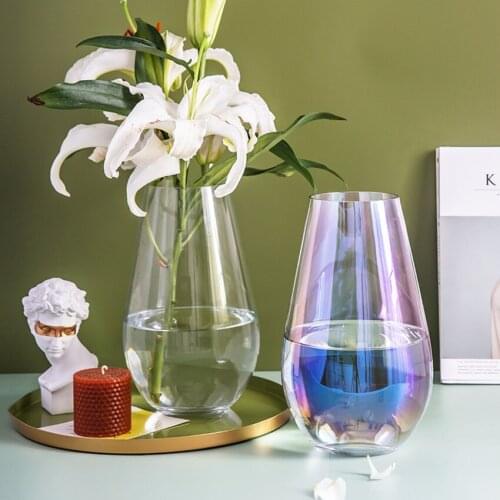 Modern Glass Vase Transparent Multicolor Terrarium Flower Pots Simplicity Tabletop Hydroponic Container Bottle Home Decoration