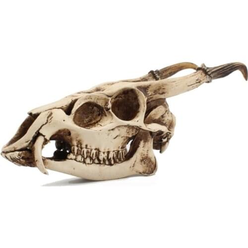 Home Interior Decoration,Imitation Wild Goat Skull Desktop Ornaments Home Interior Decor Creative Model