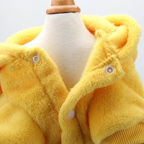 The Manufacturer Wholesale Autumn And Winter Pet Clothing Thickened Warm Teddy Pikachu Transformation Outfit pet Clothes