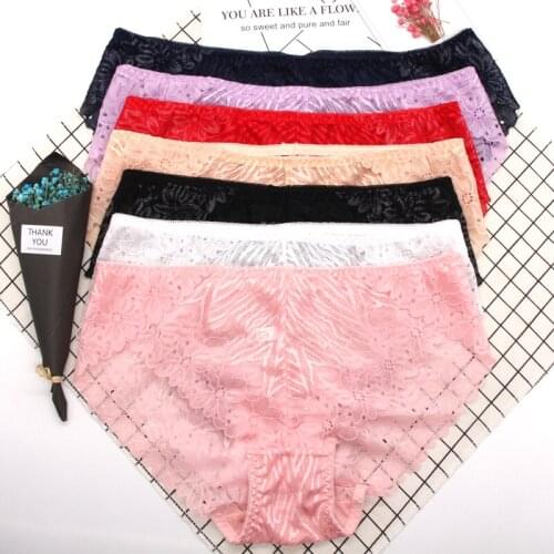 Plus Size Women Underwear Lace Briefs Sexy Panties for Women XL- 4XL Comfort Underpants
