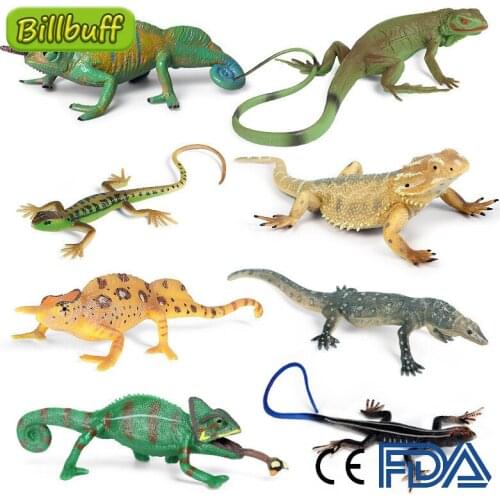 7Pcs Simulation Crawl Wild Animal Set Lizard Scorpion Chameleon Model Figures Collection Cognition Educational Toys for Children