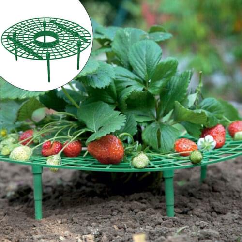 Climbing Vine Vegetable Stand Pillar Strawberry Stand Climbing Vine Frame Holder Garden Round Plant Gardening Stand